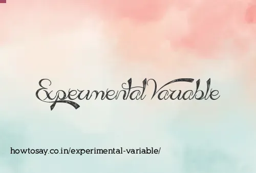 Experimental Variable