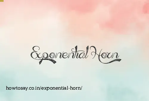 Exponential Horn