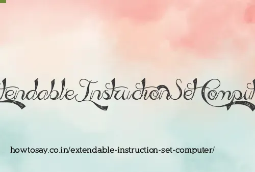 Extendable Instruction Set Computer