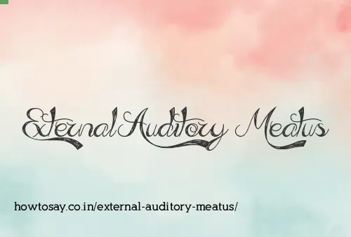 External Auditory Meatus