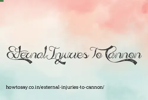 External Injuries To Cannon