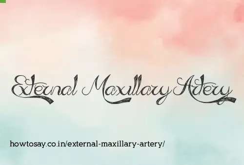 External Maxillary Artery