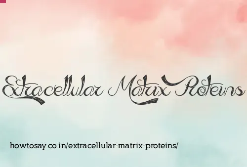 Extracellular Matrix Proteins