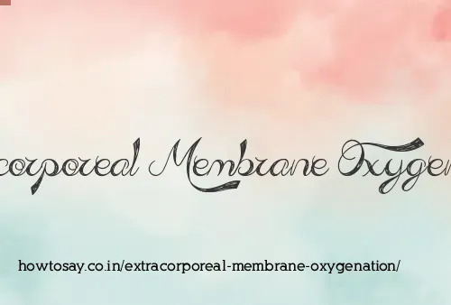 Extracorporeal Membrane Oxygenation