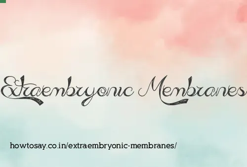 Extraembryonic Membranes