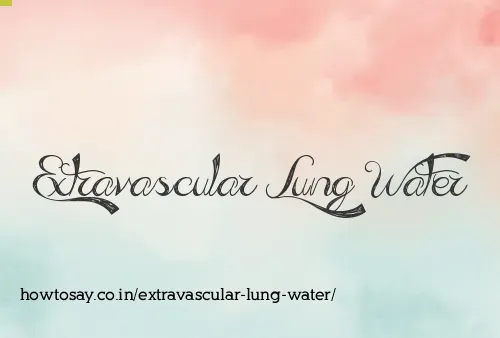 Extravascular Lung Water