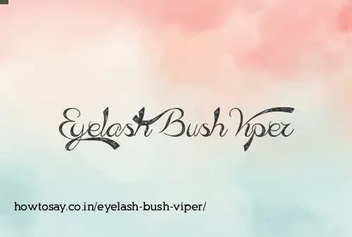 Eyelash Bush Viper