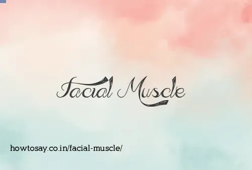 Facial Muscle