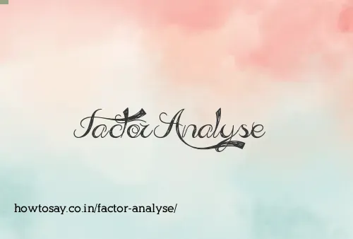 Factor Analyse