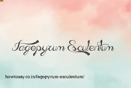 Fagopyrum Esculentum