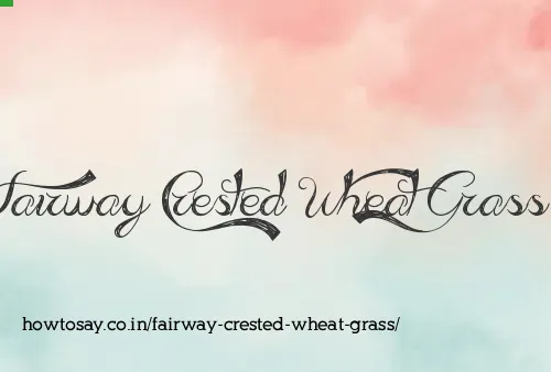 Fairway Crested Wheat Grass