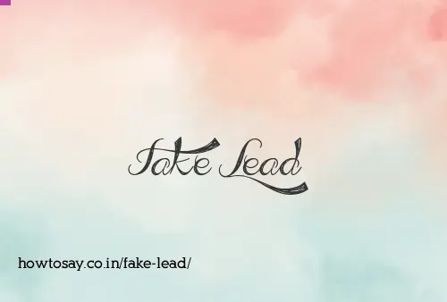 Fake Lead