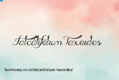 Falcatifolium Taxoides