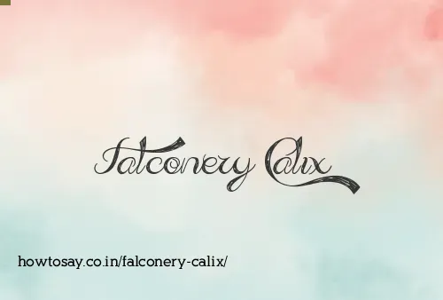Falconery Calix