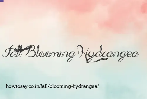 Fall Blooming Hydrangea