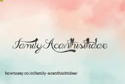 Family Acanthisittidae