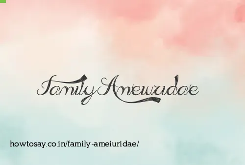 Family Ameiuridae