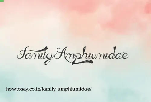 Family Amphiumidae