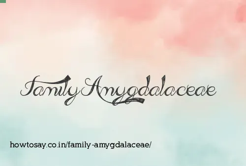 Family Amygdalaceae