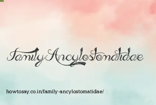 Family Ancylostomatidae