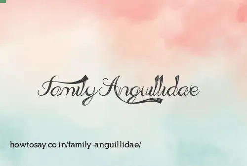 Family Anguillidae