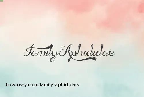 Family Aphididae