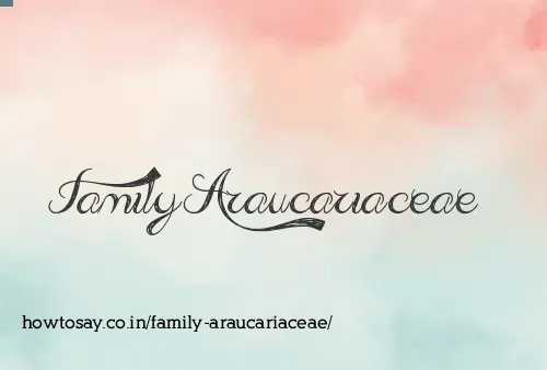 Family Araucariaceae