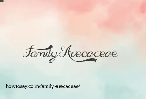 Family Arecaceae