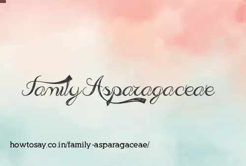 Family Asparagaceae