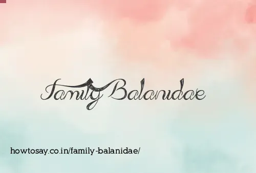 Family Balanidae