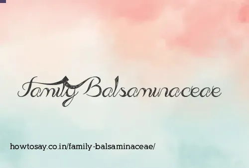 Family Balsaminaceae
