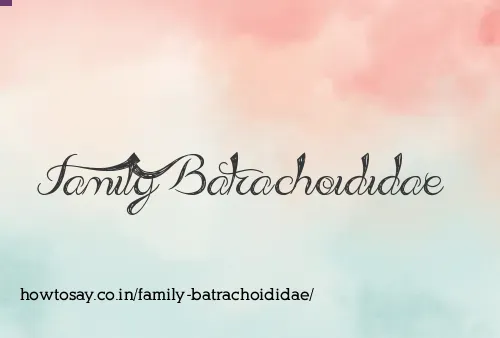 Family Batrachoididae