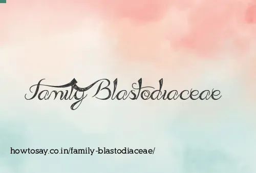 Family Blastodiaceae