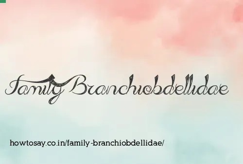 Family Branchiobdellidae