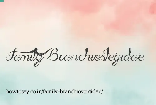 Family Branchiostegidae
