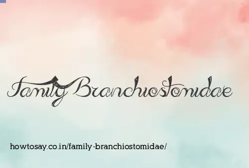 Family Branchiostomidae
