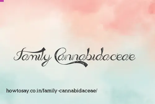 Family Cannabidaceae