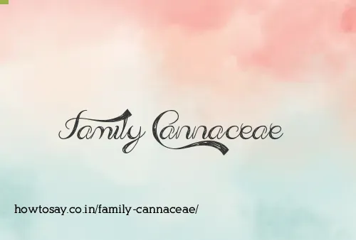 Family Cannaceae