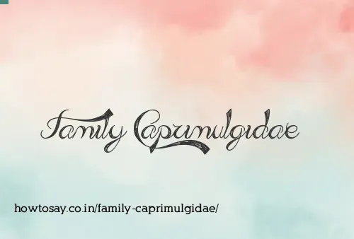 Family Caprimulgidae