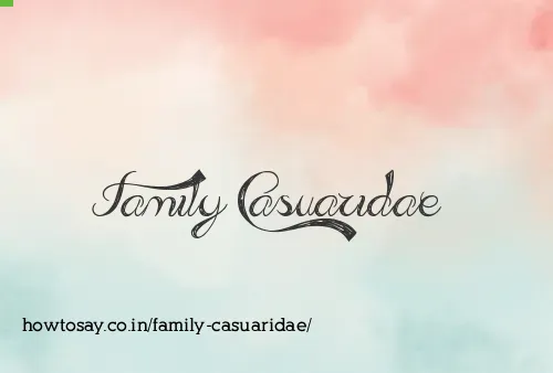 Family Casuaridae