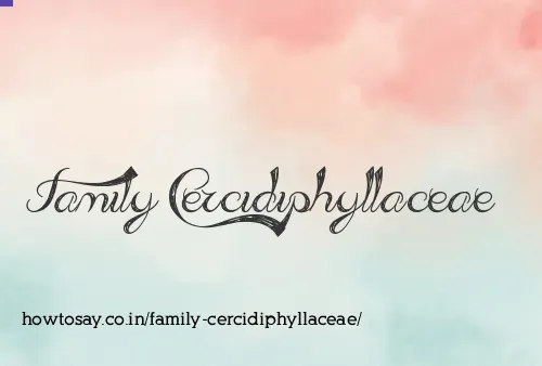Family Cercidiphyllaceae