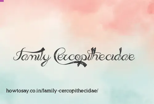 Family Cercopithecidae