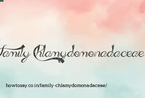 Family Chlamydomonadaceae