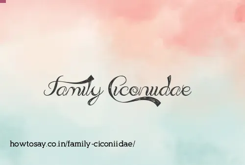 Family Ciconiidae