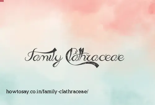 Family Clathraceae