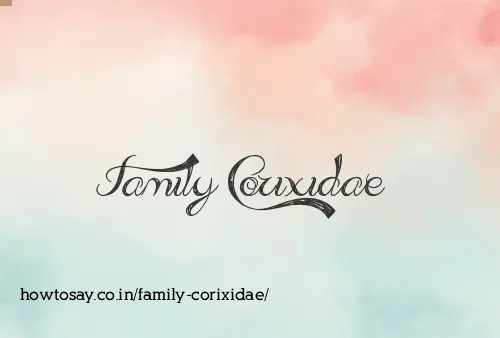 Family Corixidae