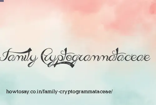 Family Cryptogrammataceae