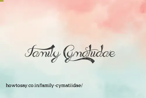 Family Cymatiidae