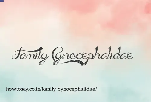 Family Cynocephalidae