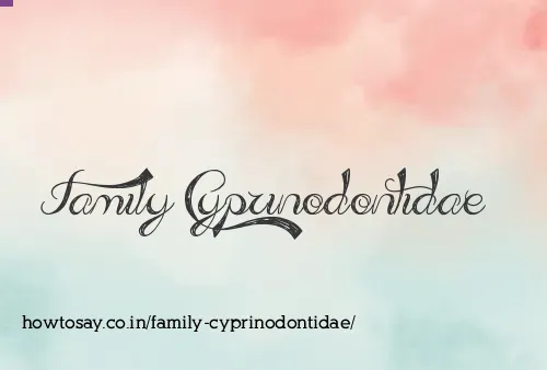 Family Cyprinodontidae